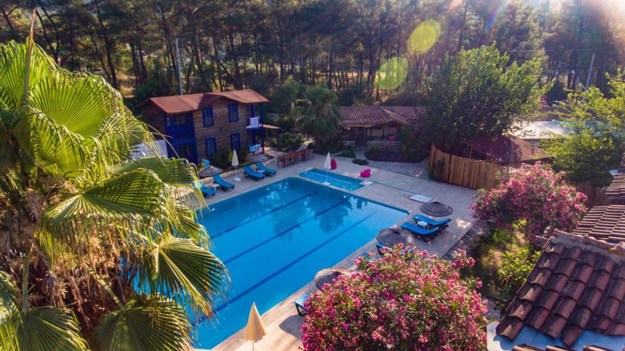 Olympos Forest House Hotell Yazir  Exteriör bild
